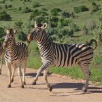 Acheter un hameau abandonné avec des amis